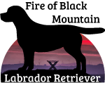 Fire of Black Mountain
